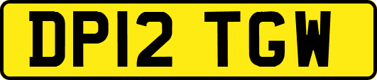 DP12TGW