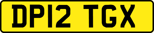 DP12TGX