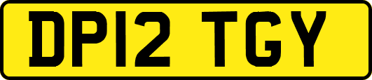 DP12TGY
