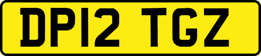 DP12TGZ