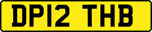 DP12THB