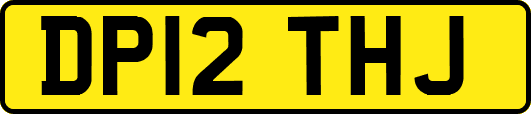 DP12THJ