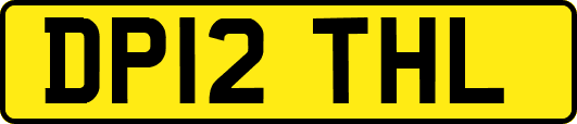 DP12THL