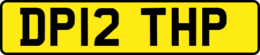 DP12THP