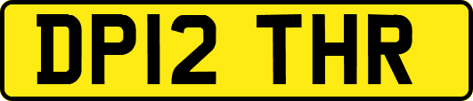 DP12THR
