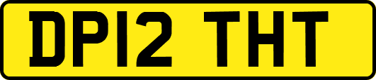 DP12THT