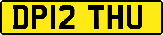 DP12THU