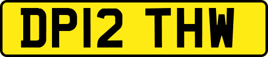 DP12THW