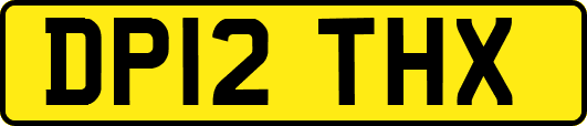 DP12THX