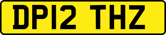 DP12THZ