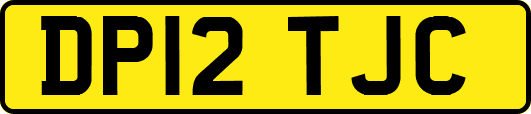 DP12TJC