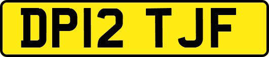 DP12TJF