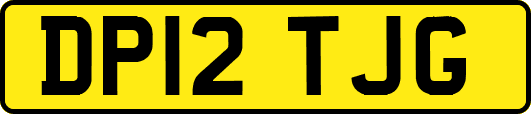DP12TJG