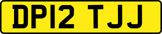 DP12TJJ