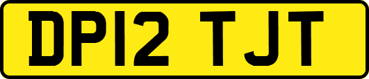 DP12TJT