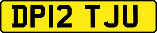 DP12TJU