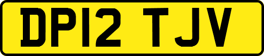 DP12TJV