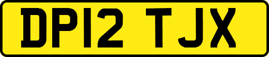 DP12TJX