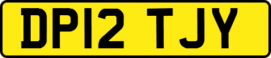 DP12TJY