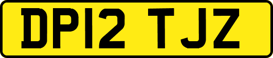 DP12TJZ