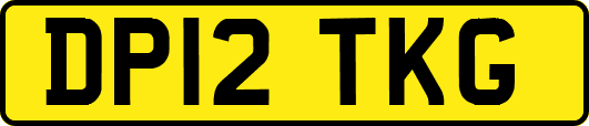 DP12TKG