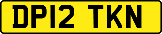 DP12TKN