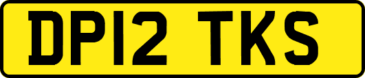 DP12TKS