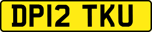 DP12TKU