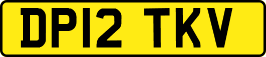 DP12TKV