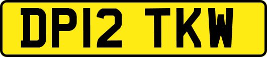 DP12TKW