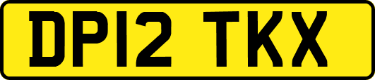 DP12TKX