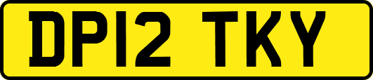 DP12TKY