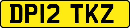 DP12TKZ