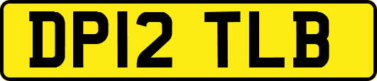 DP12TLB
