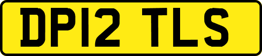 DP12TLS