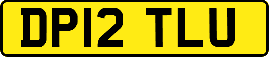 DP12TLU