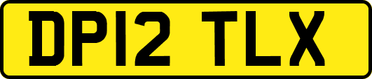 DP12TLX
