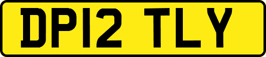 DP12TLY