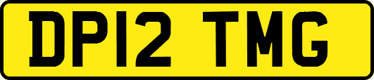 DP12TMG