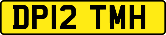 DP12TMH