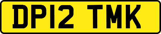 DP12TMK