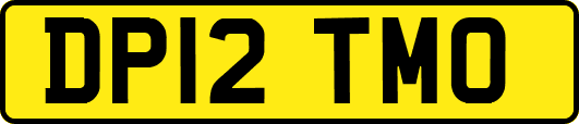 DP12TMO