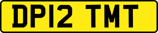 DP12TMT