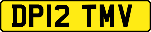 DP12TMV
