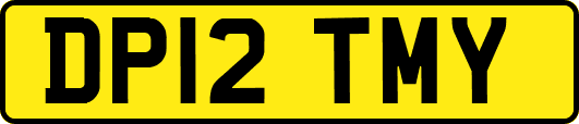 DP12TMY