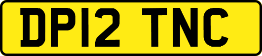 DP12TNC