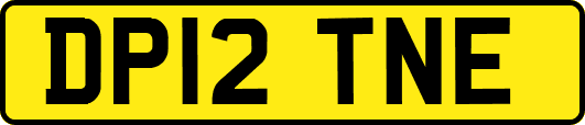 DP12TNE