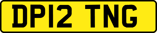 DP12TNG