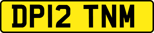 DP12TNM