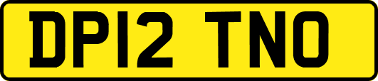 DP12TNO